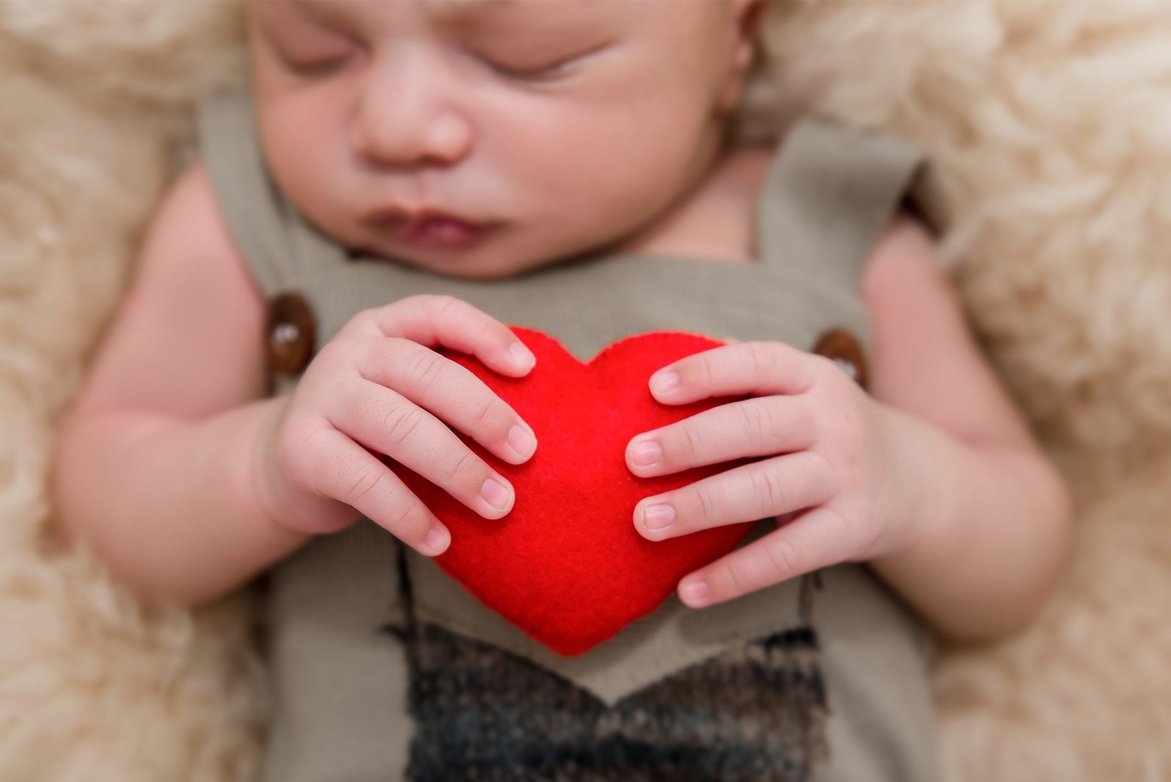 Foto de Est&uacute;dio Mari Cavalcanti Fotografia 36