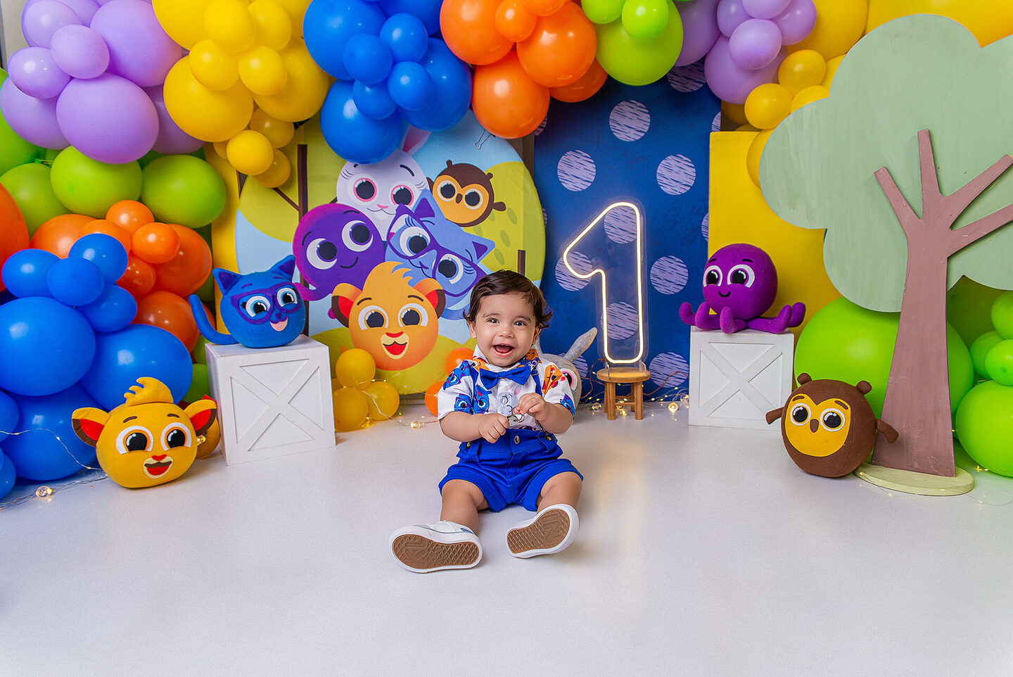 Ensaio Pré Festa Bolo Fofo - Antony - Inácio - Estúdio na Rua Jequiriça 48 - Penha, Rio de Janeiro -RJ- WhatsApp 21-96660-3929